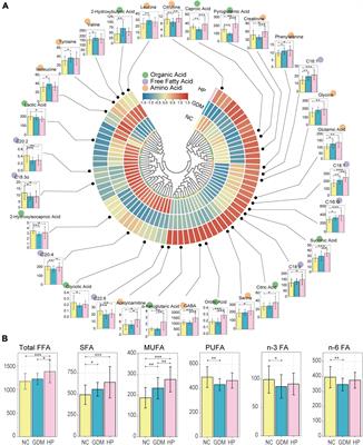 Analysis of serum fatty acid, amino acid, and organic acid profiles in gestational hypertension and gestational diabetes mellitus via targeted metabolomics